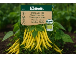 Produktguide testar Vaxböna Anellino Giallo