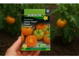 Produktguide testar Vintertomat Ponderosa