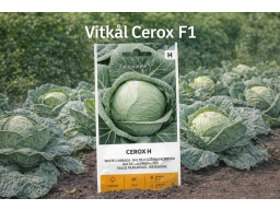 Produktguide testar Vitkål Cerox F1