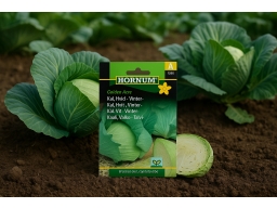 Produktguide testar Vitkål Golden Acre