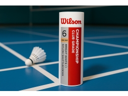 Produktguide testar Wilson Championship 